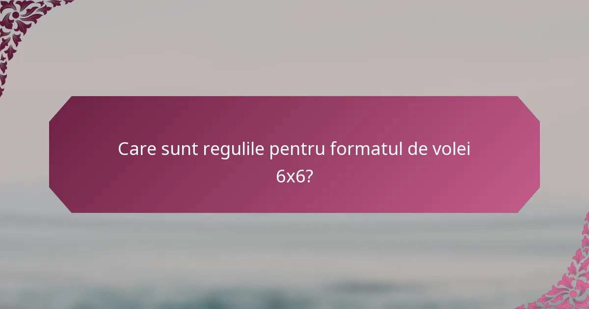 Care sunt regulile pentru formatul de volei 6x6?