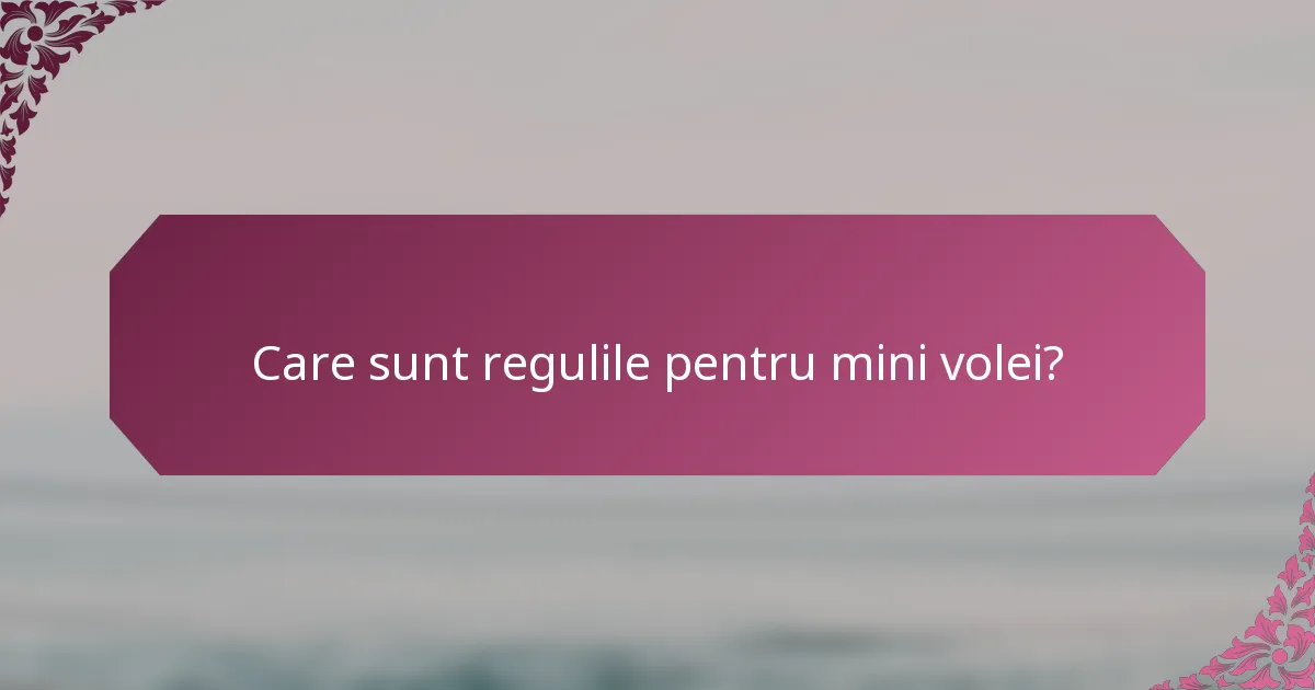Care sunt regulile pentru mini volei?