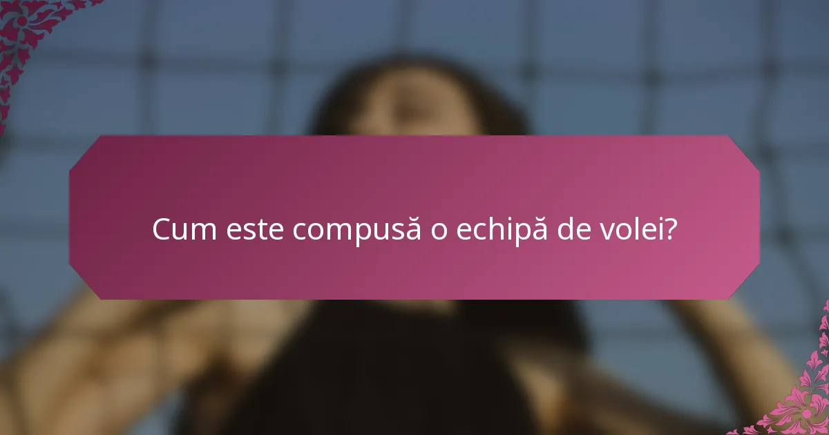 Cum este compusă o echipă de volei?